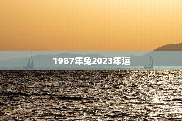 1987年兔2023年运