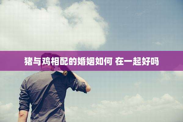 猪与鸡相配的婚姻如何 在一起好吗