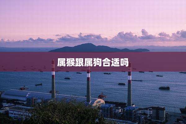 属猴跟属狗合适吗