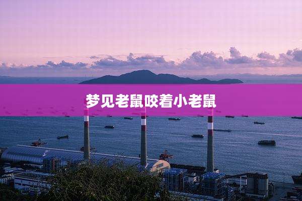 梦见老鼠咬着小老鼠