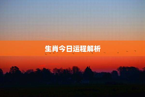 生肖今日运程解析