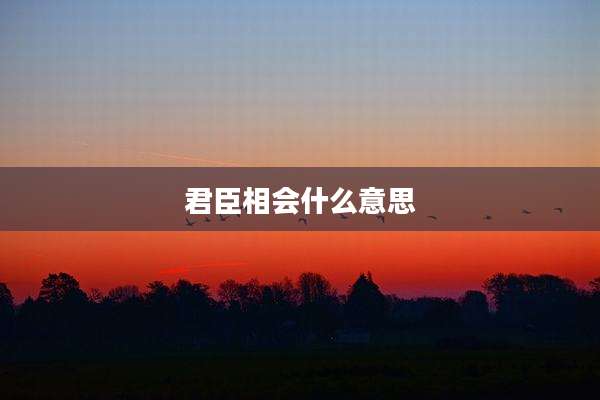 君臣相会什么意思