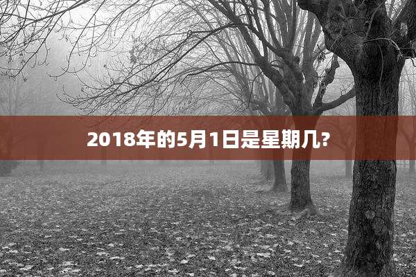 2018年的5月1日是星期几?