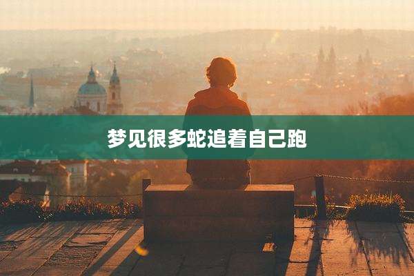 梦见很多蛇追着自己跑