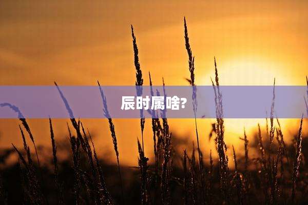 辰时属啥?