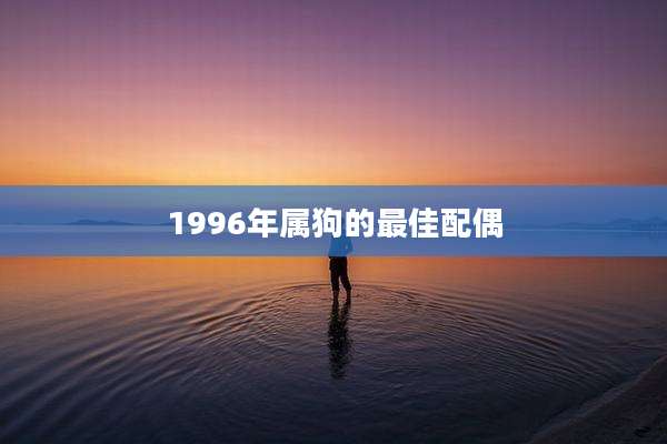 1996年属狗的最佳配偶