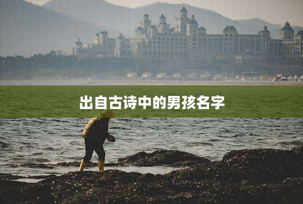 出自古诗中的男孩名字