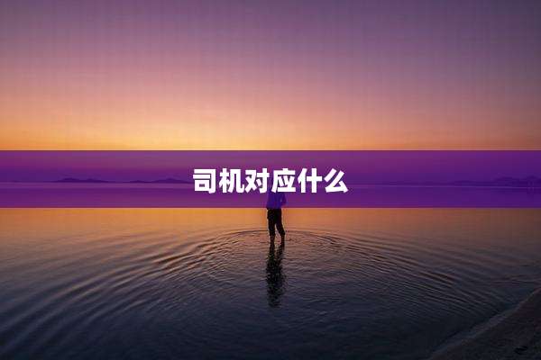 司机对应什么
