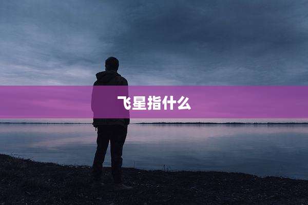 飞星指什么