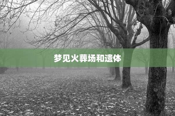 梦见火葬场和遗体