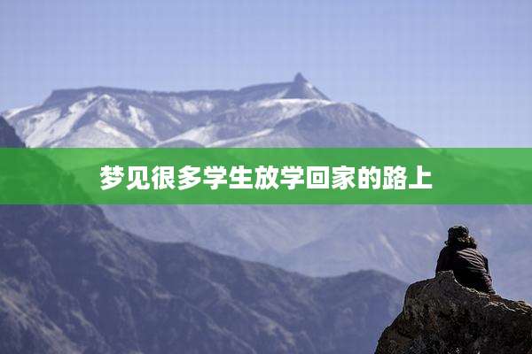 梦见很多学生放学回家的路上