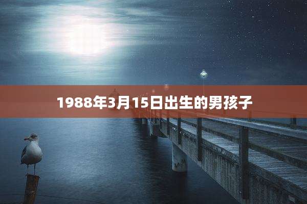 1988年3月15日出生的男孩子