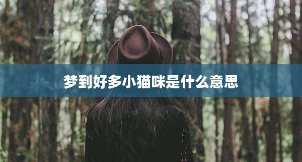 梦到好多小猫咪是什么意思