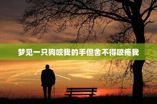 梦见一只狗咬我的手但舍不得咬疼我