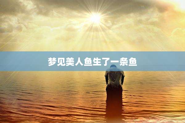 梦见美人鱼生了一条鱼