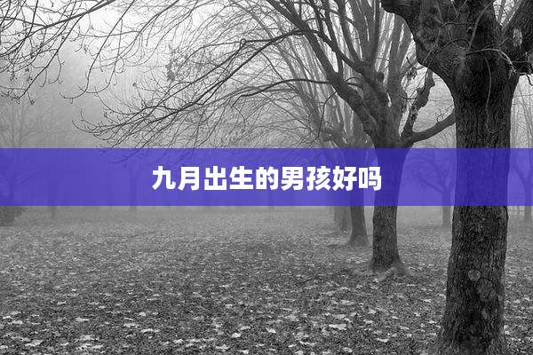 九月出生的男孩好吗