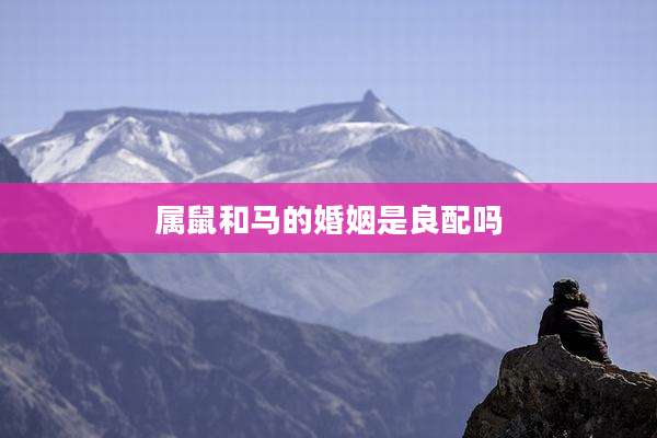 属鼠和马的婚姻是良配吗