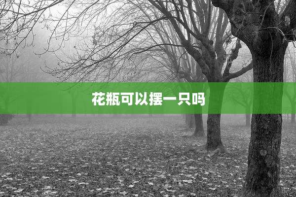 花瓶可以摆一只吗