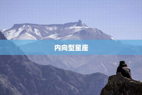 内向型星座
