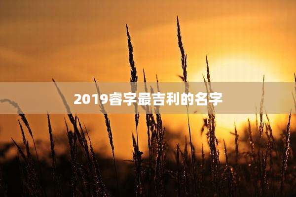 2019睿字最吉利的名字