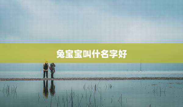 兔宝宝叫什名字好
