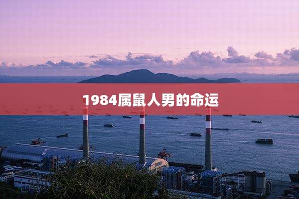 1984属鼠人男的命运