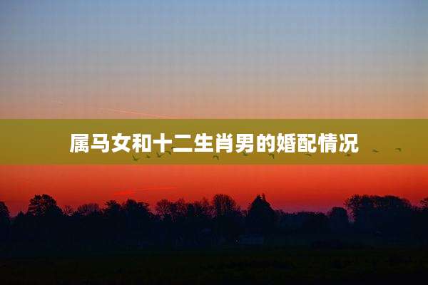 属马女和十二生肖男的婚配情况
