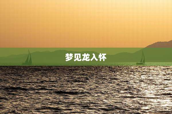 梦见龙入怀