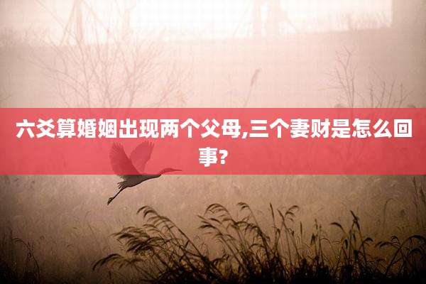 六爻算婚姻出现两个父母,三个妻财是怎么回事?