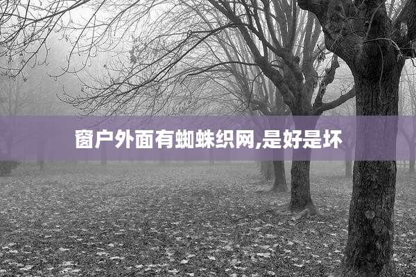 窗户外面有蜘蛛织网,是好是坏