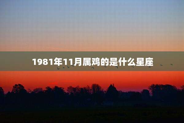 1981年11月属鸡的是什么星座