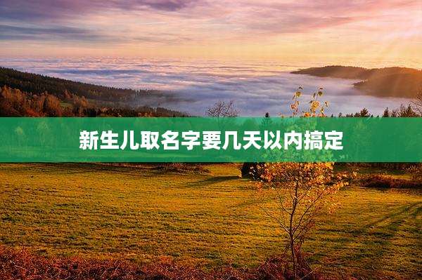 新生儿取名字要几天以内搞定