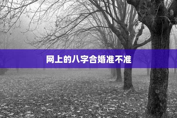 网上的八字合婚准不准