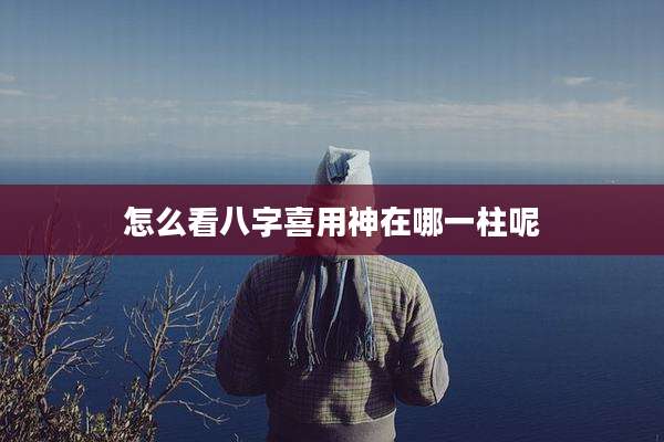 怎么看八字喜用神在哪一柱呢