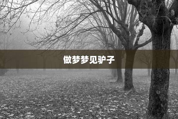 做梦梦见驴子