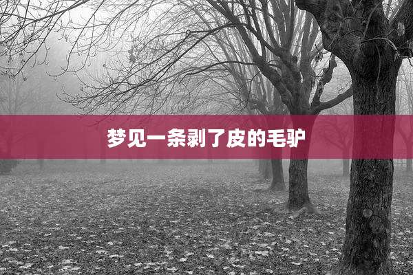 梦见一条剥了皮的毛驴