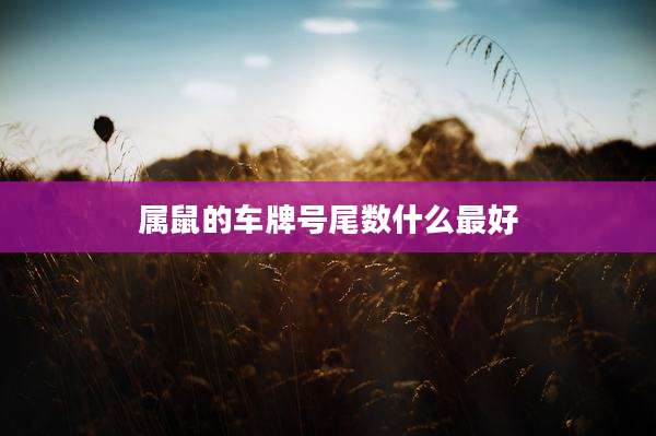 属鼠的车牌号尾数什么最好
