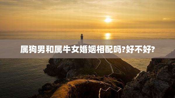 属狗男和属牛女婚姻相配吗?好不好?