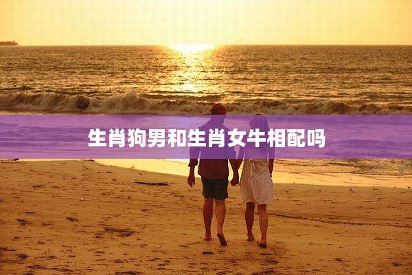 生肖狗男和生肖女牛相配吗