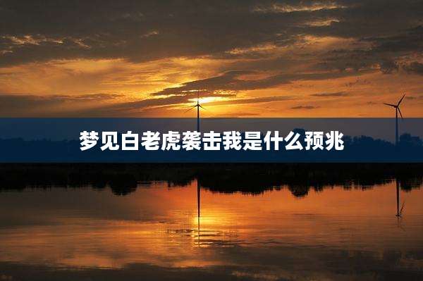 梦见白老虎袭击我是什么预兆