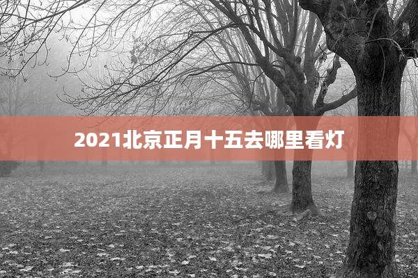 2021北京正月十五去哪里看灯