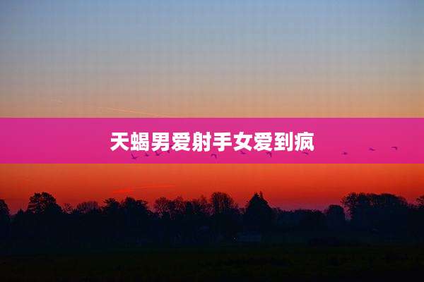 天蝎男爱射手女爱到疯
