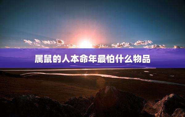 属鼠的人本命年最怕什么物品