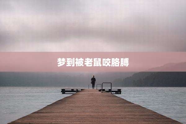 梦到被老鼠咬胳膊