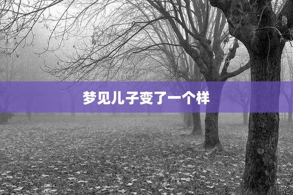 梦见儿子变了一个样