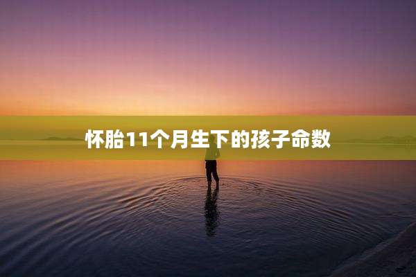 怀胎11个月生下的孩子命数