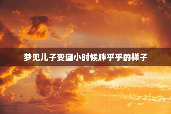 梦见儿子变回小时候胖乎乎的样子
