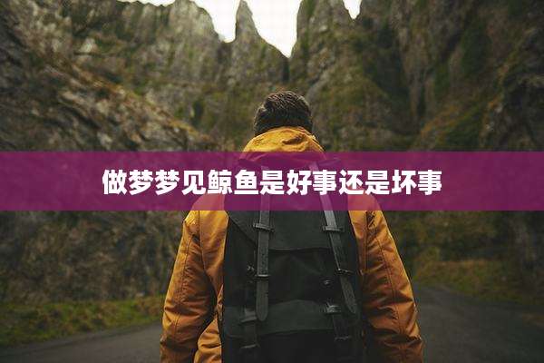 做梦梦见鲸鱼是好事还是坏事