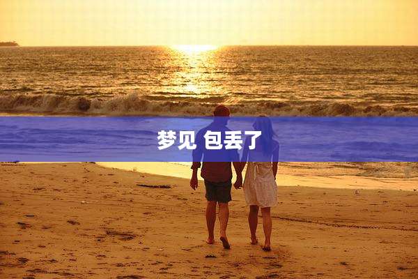 梦见 包丢了
