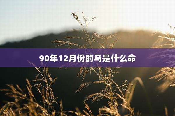90年12月份的马是什么命